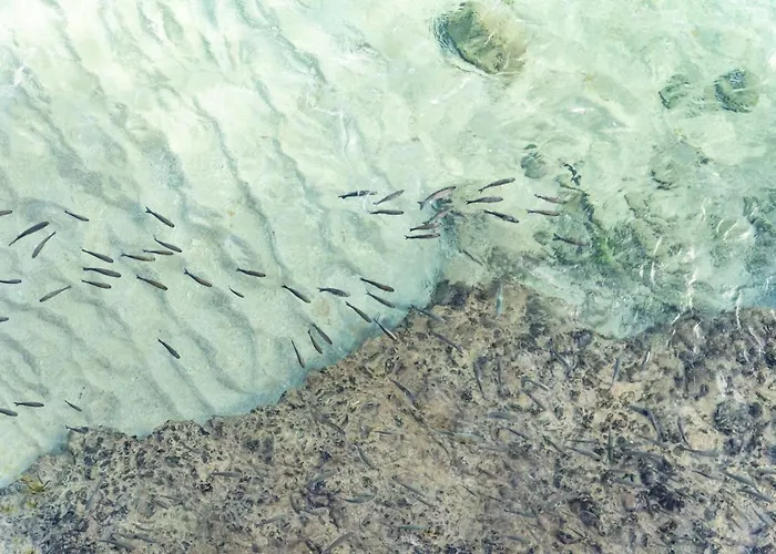 Canteras Lighthouse Λας Πάλμας ντε Γκραν Κανάρια